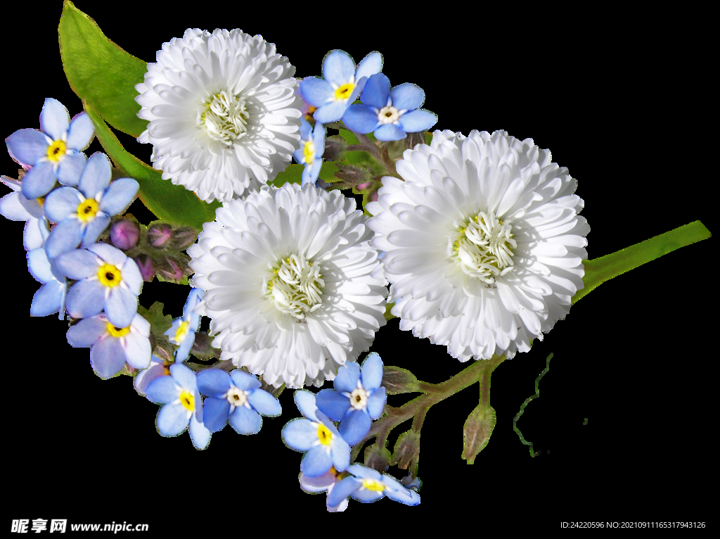 鲜花