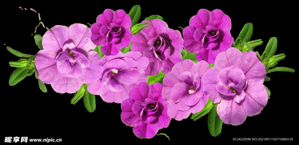 鲜花