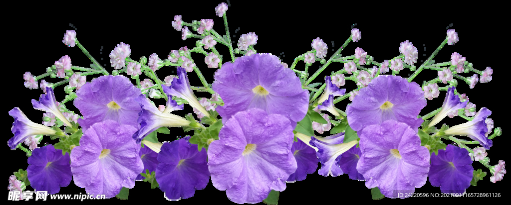 鲜花