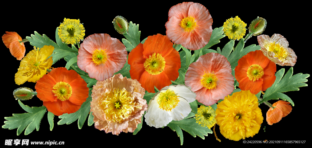 鲜花