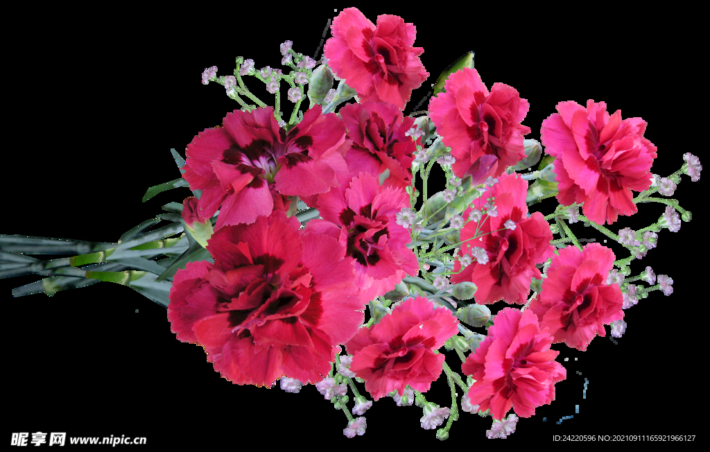 鲜花