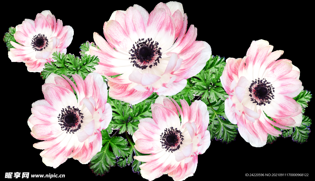 鲜花