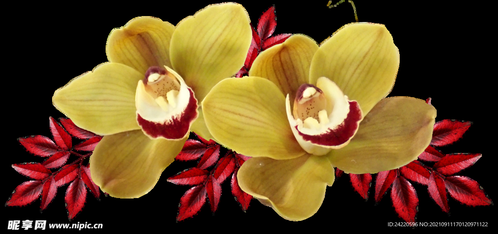 鲜花