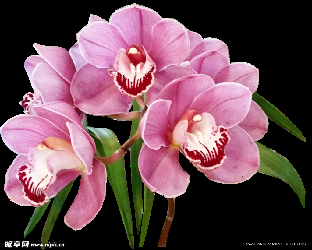 鲜花