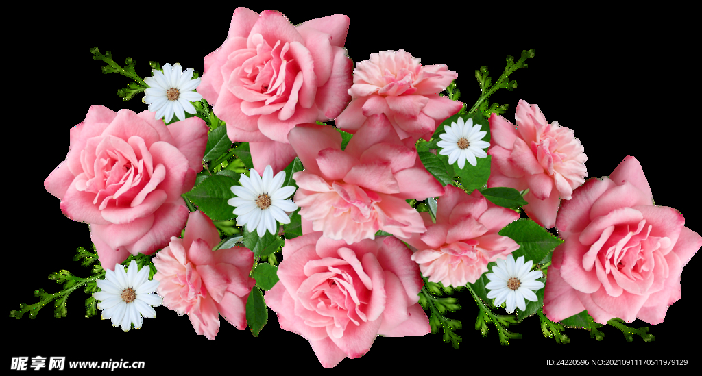 玫瑰花