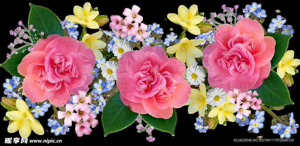 玫瑰花