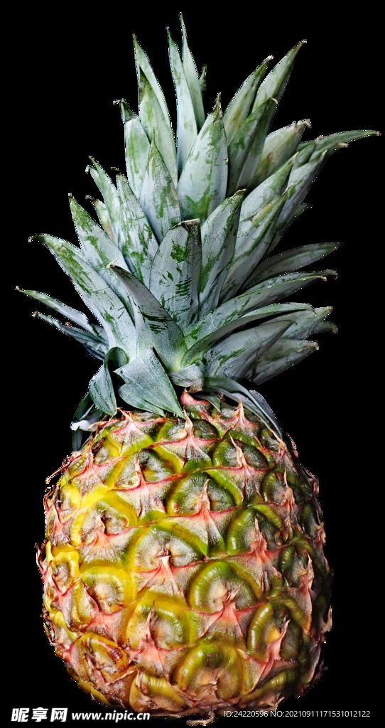 菠萝