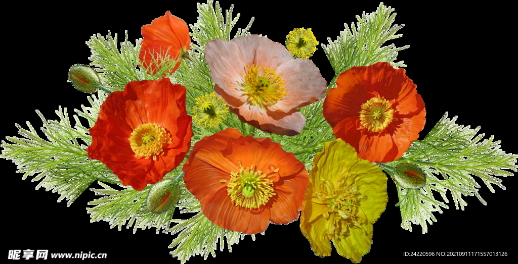 鲜花