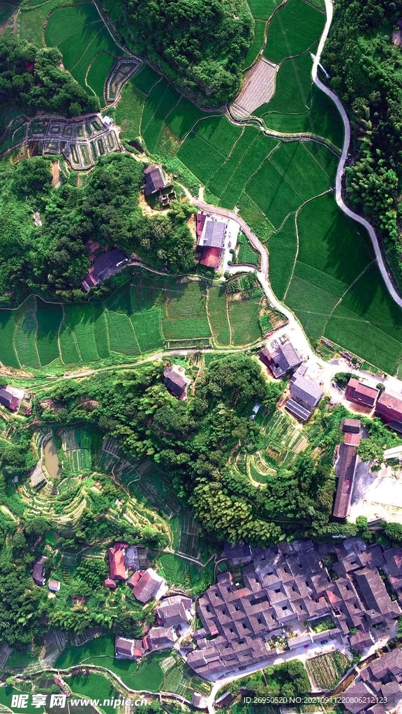 风景