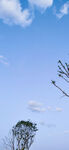 天空