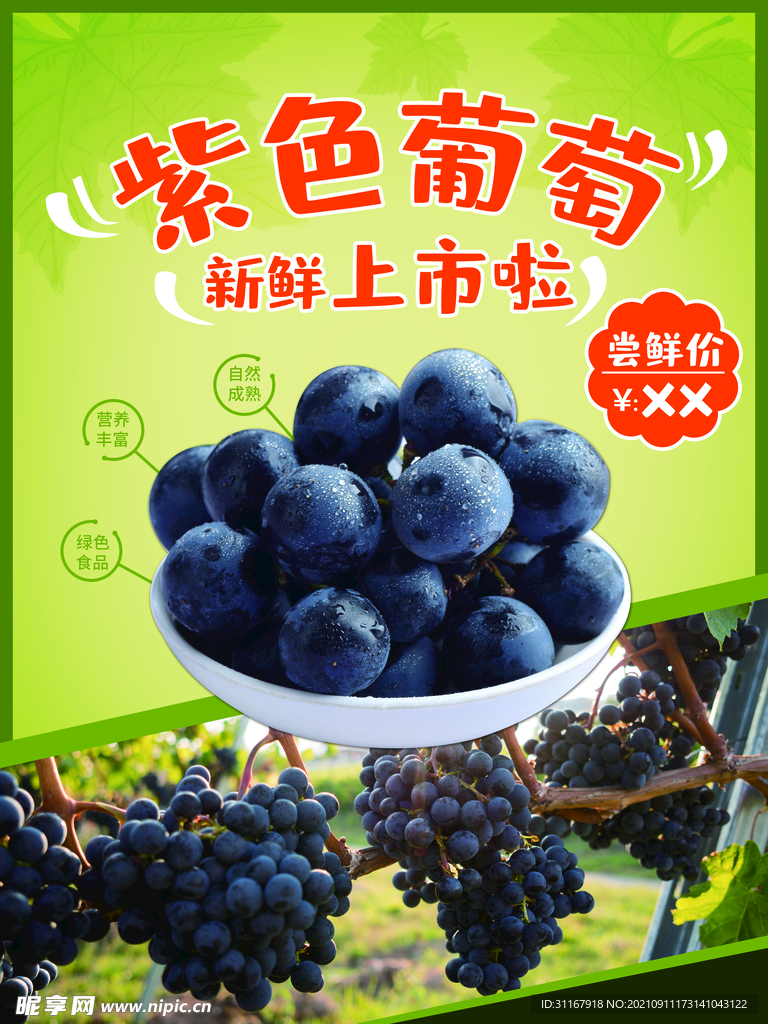 葡萄