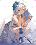 动漫美女
