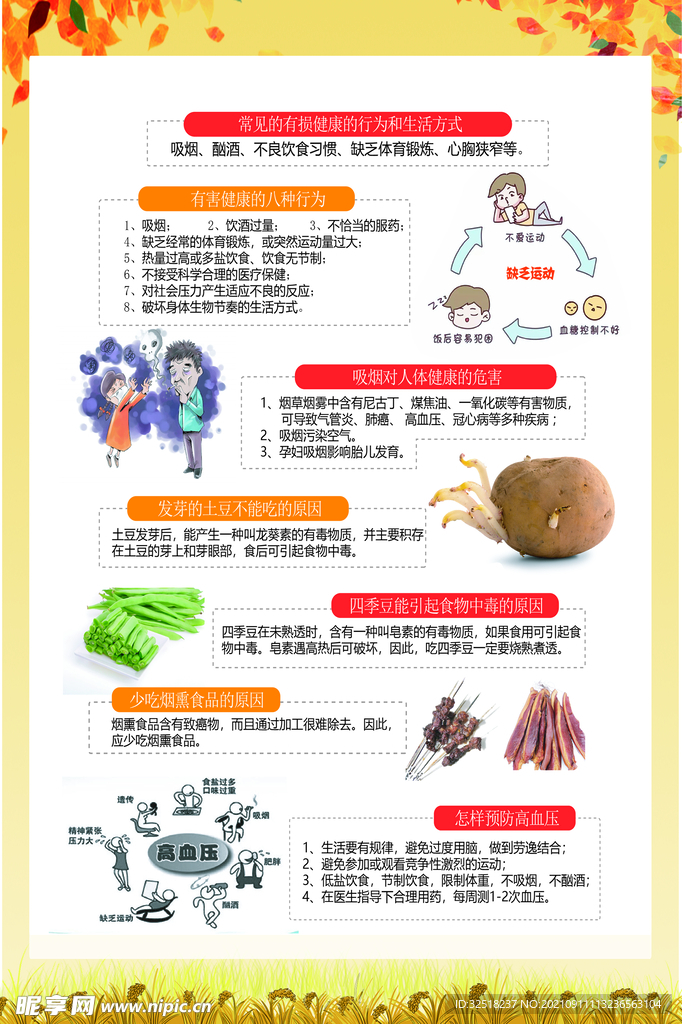 健康宣传栏