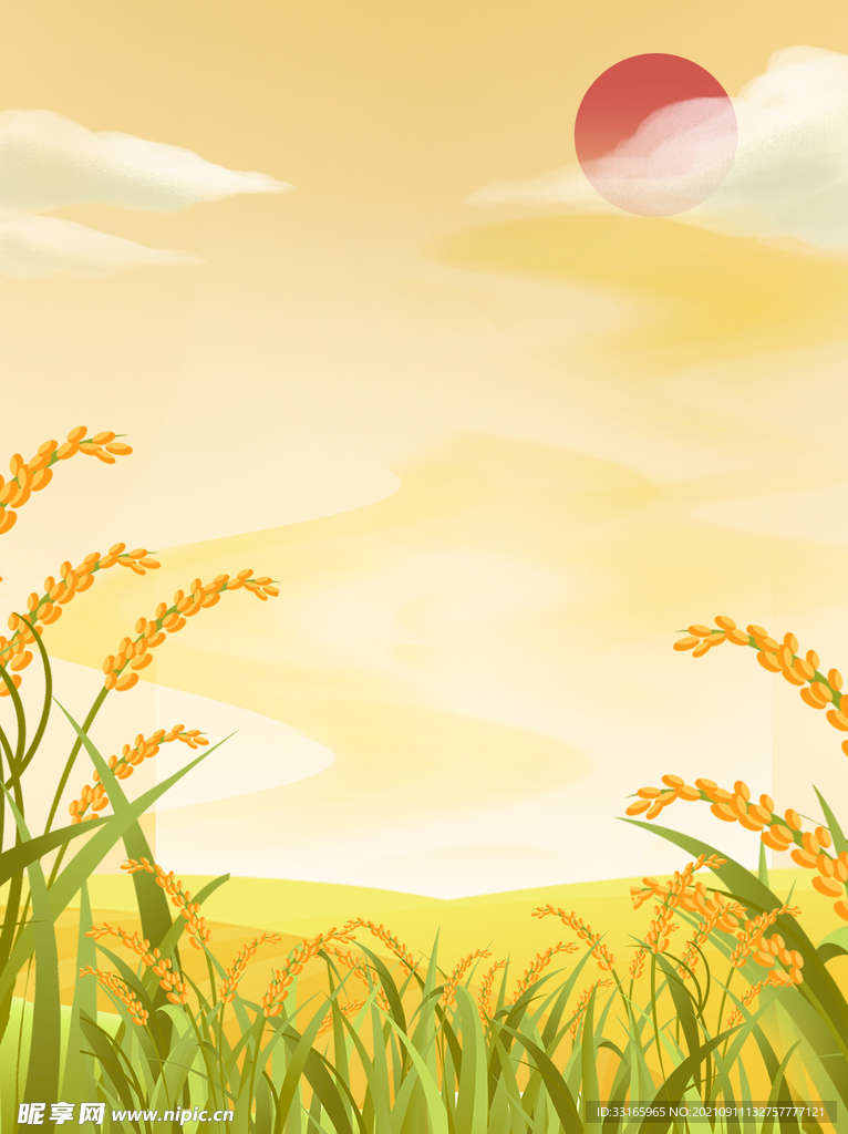 秋季水稻粮食插画壁纸背景