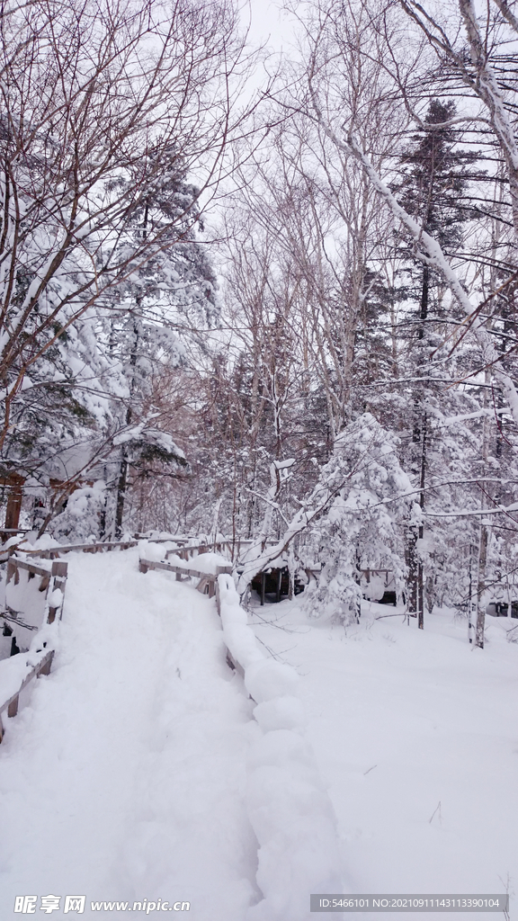 漠河雪谷电影《智取威虎山》取景