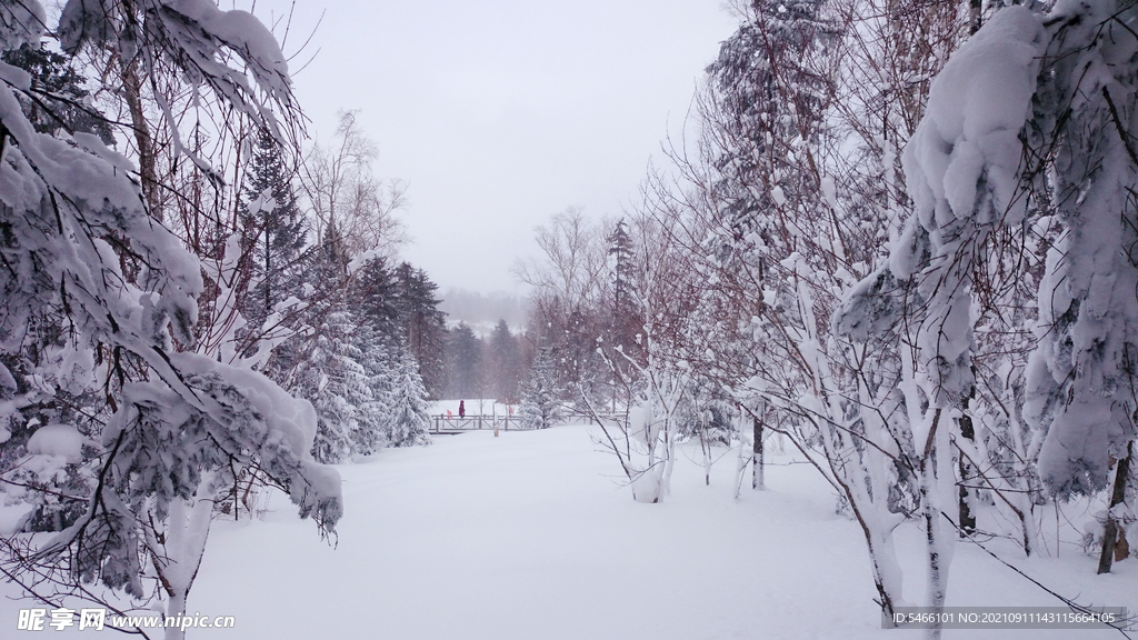 漠河雪谷电影《智取威虎山》取景