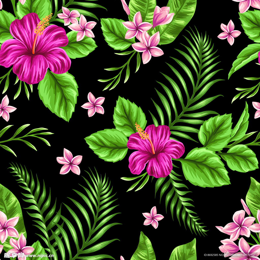 热带植物花