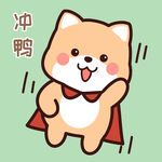 柴犬小小黄          