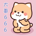 柴犬小小黄          