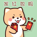 柴犬小小黄          