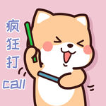 柴犬小小黄          