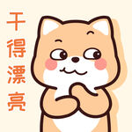 柴犬小小黄          