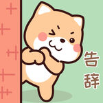 柴犬小小黄          