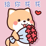 柴犬小小黄          