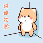 柴犬小小黄          