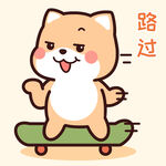 柴犬小小黄          