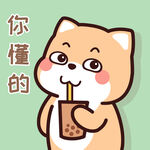 柴犬小小黄          