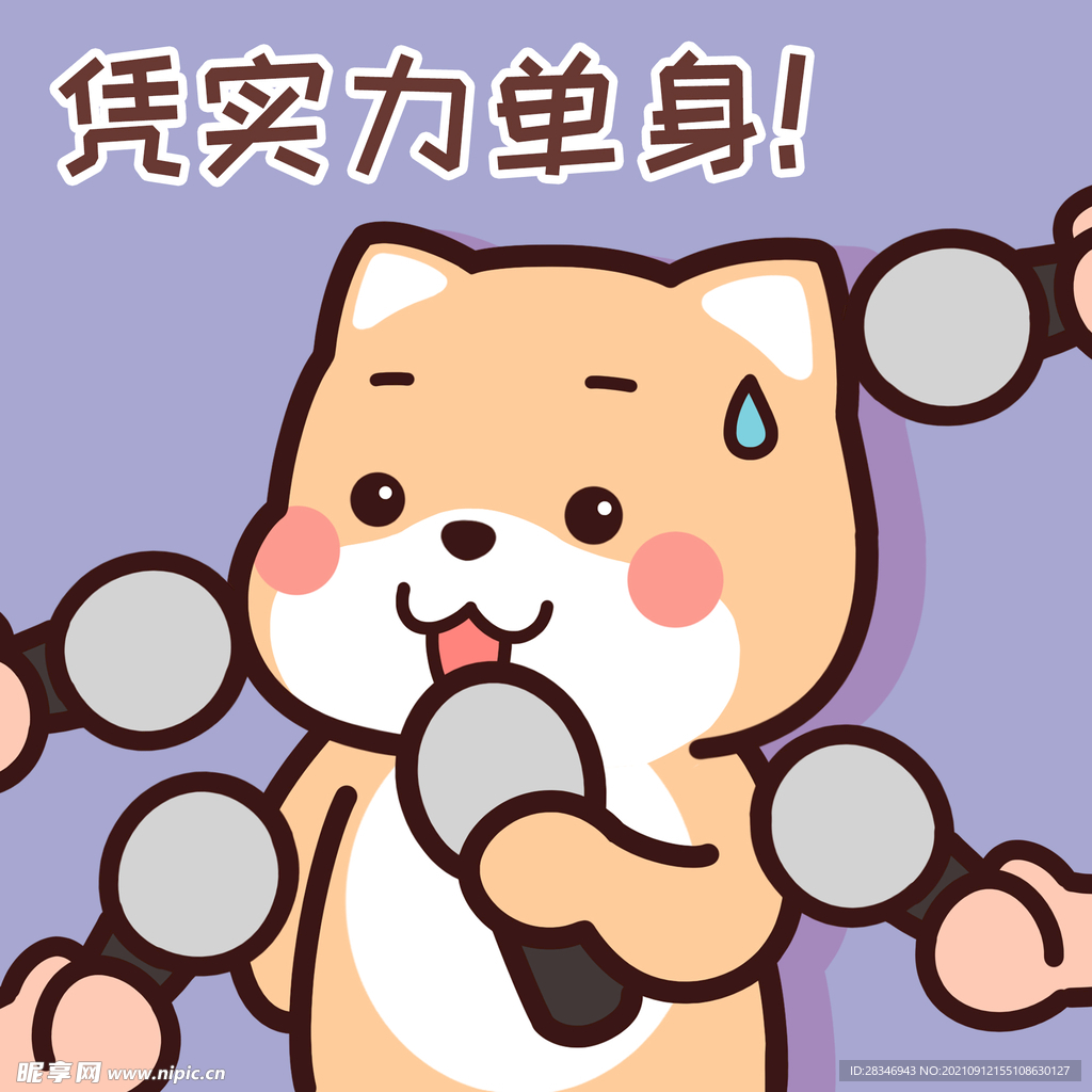柴犬小小黄          