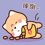 柴犬小小黄          
