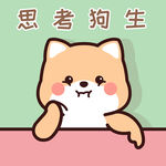 柴犬小小黄          