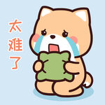 柴犬小小黄          