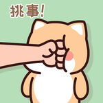 柴犬小小黄          