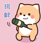 柴犬小小黄          