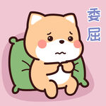 柴犬小小黄          