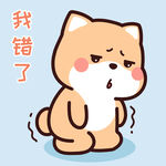 柴犬小小黄          