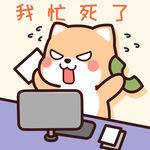 柴犬小小黄          