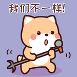 柴犬小小黄          