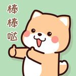 柴犬小小黄          