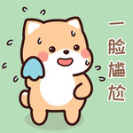 柴犬小小黄          