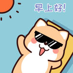 柴犬小小黄          