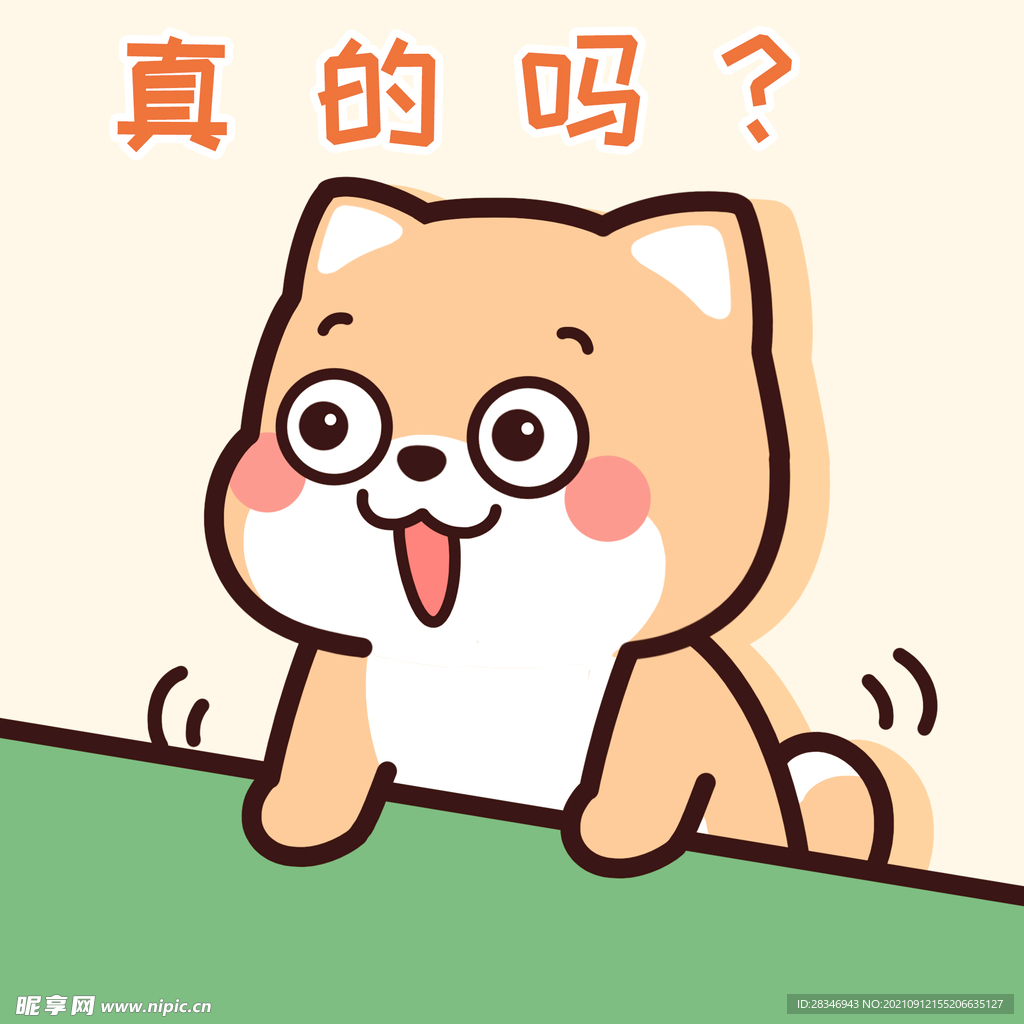 柴犬小小黄          