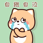 柴犬小小黄          