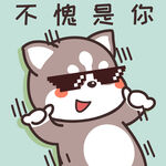哈士奇哈小二         