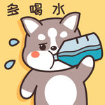 哈士奇哈小二         