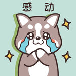 哈士奇哈小二         