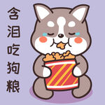 哈士奇哈小二         
